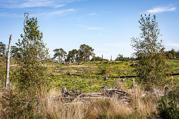 _BEN0107