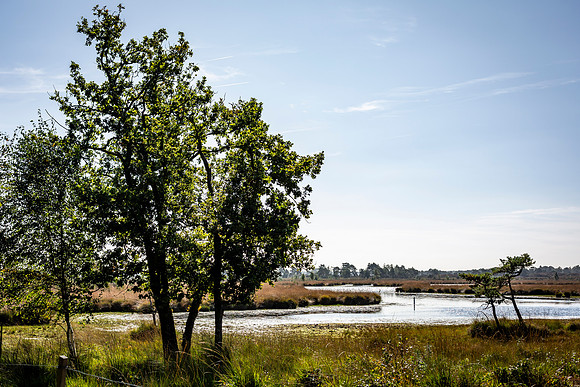 _BEN0119
