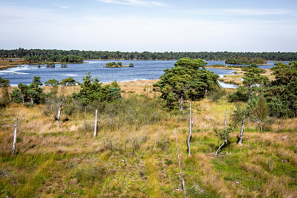 _BEN0126