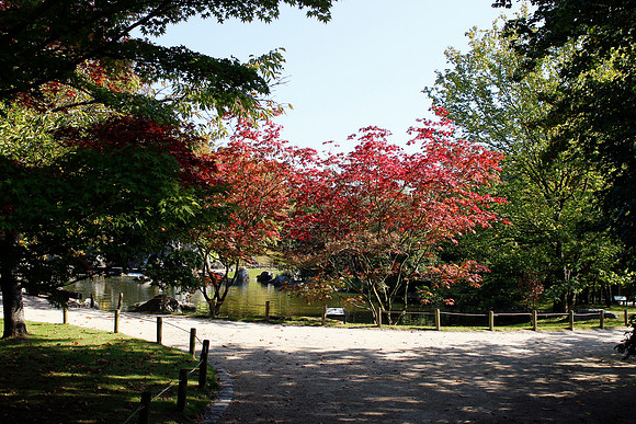 2011