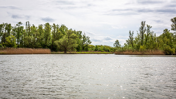 _BEN0613