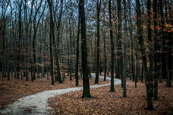 nov 2016