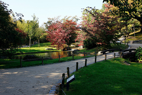 2011