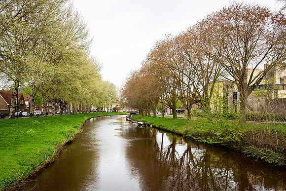 _BEN0591