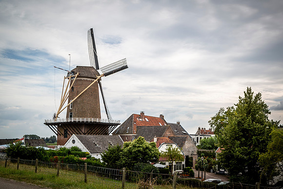_BEN7317
