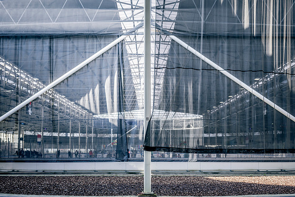 _BEN6532