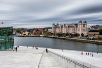 _MG_2517