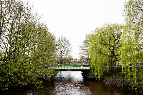 _BEN0589