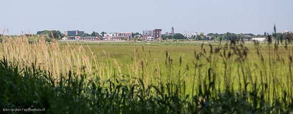_EN_5629