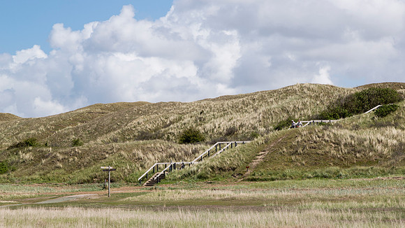 _BEN4631