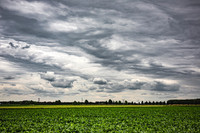 _BEN3036
