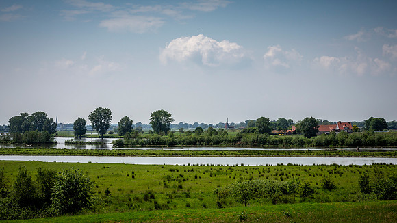 _BEN0743