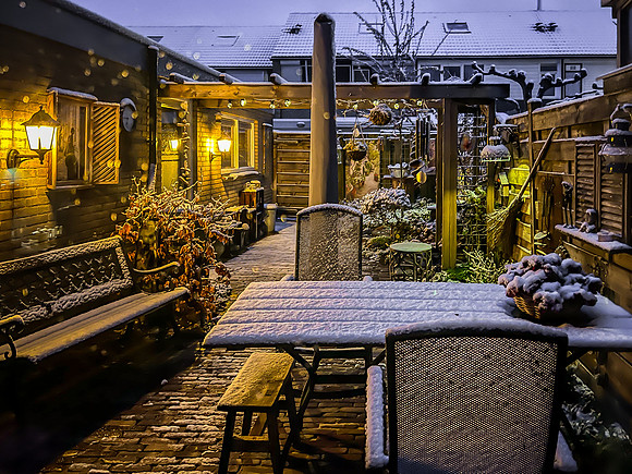 Winter in de achtertuin