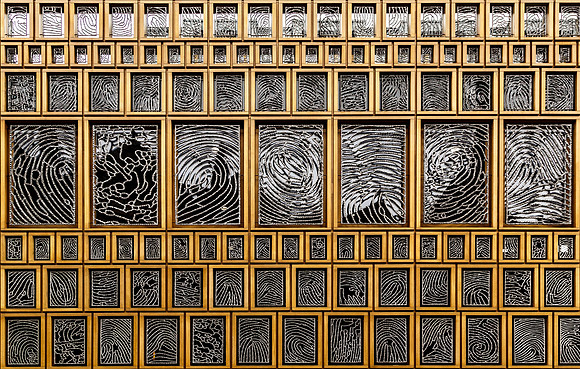 _BEN5036