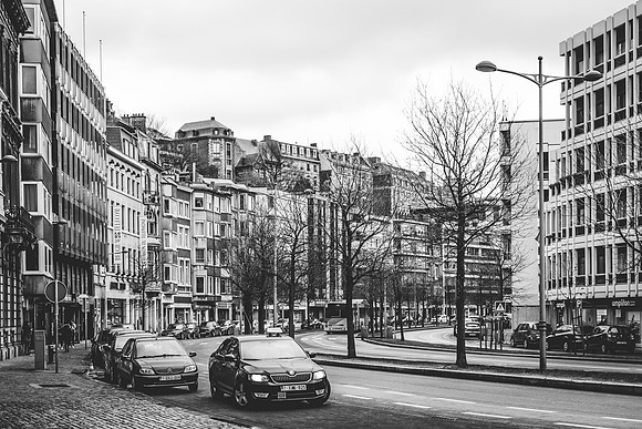 _BEN5742 - zw