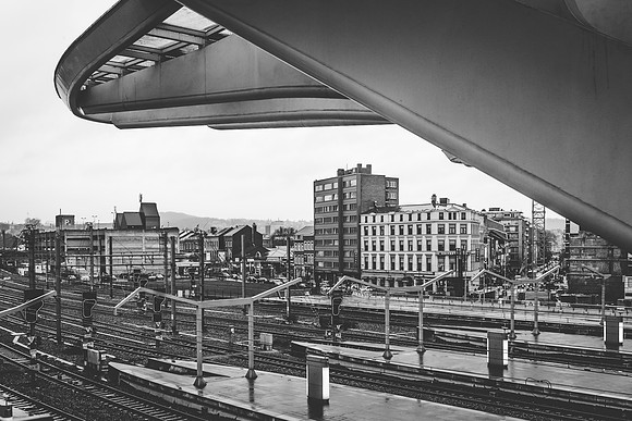 _BEN5911 - zw