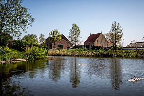 _BEN2571