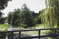 _BEN3908