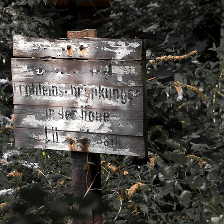 _MG_4149