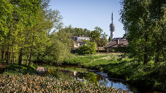 _BEN0733