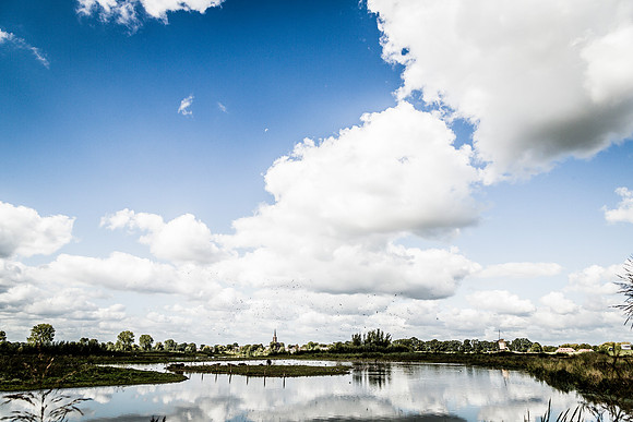 _BEN3614