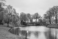 _BEN6677