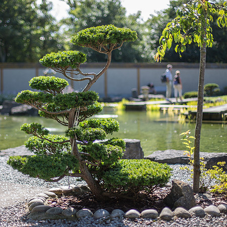 JAPANSE TUIN "SHIN KAI TEI" in het KONINGSPARK te OOSTENDE