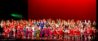 2014, Wintervoorstelling