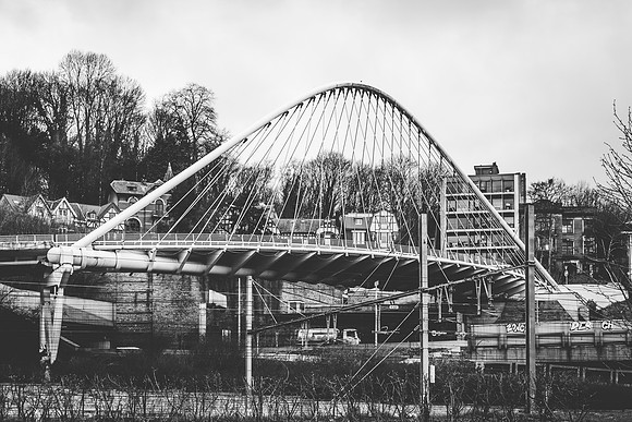 _BEN5786 - zw
