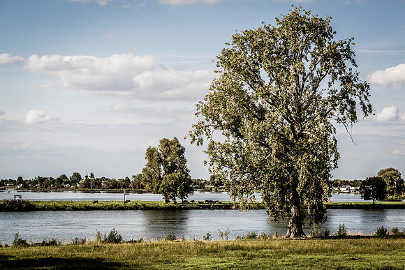 _BEN3674