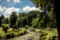 _BEN3912