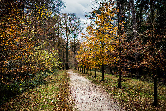 nov 2016