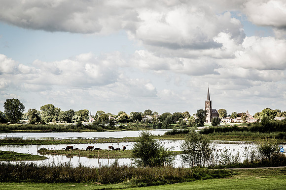 _BEN3597