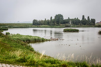 _BEN5628