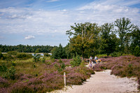 _BEN5319