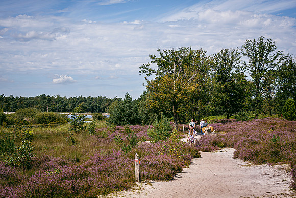 _BEN5319