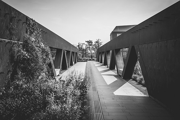 _BEN3887